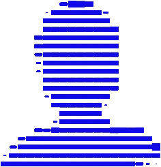 Pro plan icon